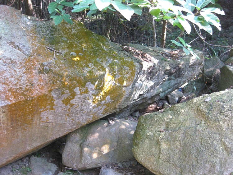 IMG_9538 (750x563)_.jpg