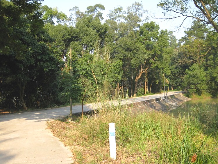 IMG_9587 (750x563)_.jpg