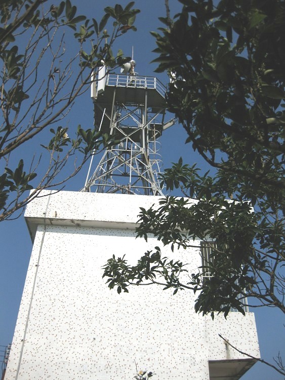 IMG_9571 (563x750)_.jpg