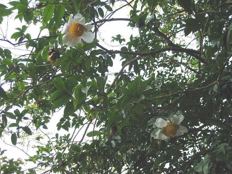 IMG_9553 (750x563)_.jpg