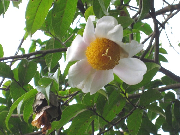 IMG_9554 (750x563)_.jpg