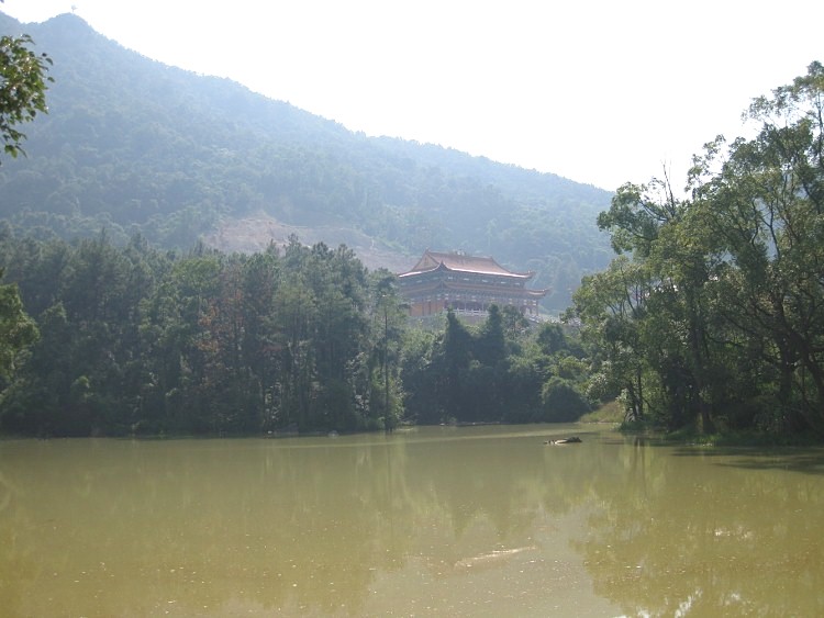 IMG_9482 (750x563)_.jpg