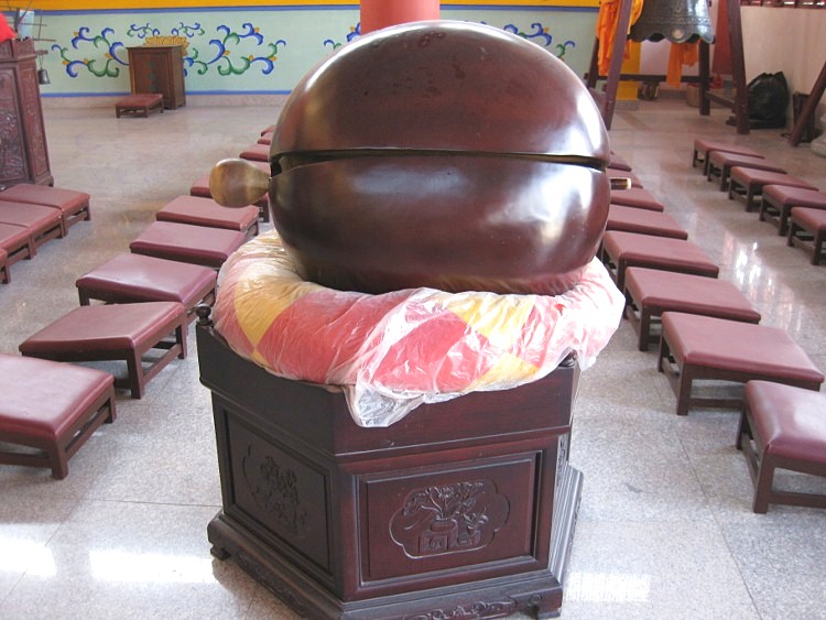 IMG_9527 (750x563)_.jpg