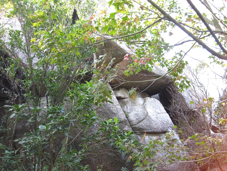 IMG_9557 (750x563)_.jpg