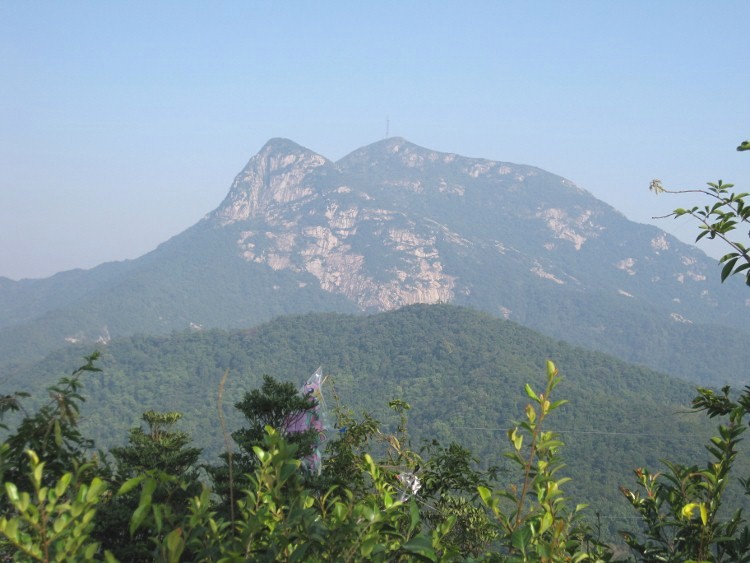 IMG_9559 (750x563)_.jpg