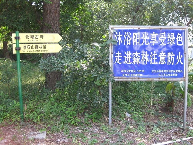 IMG_9479 (750x563)_.jpg