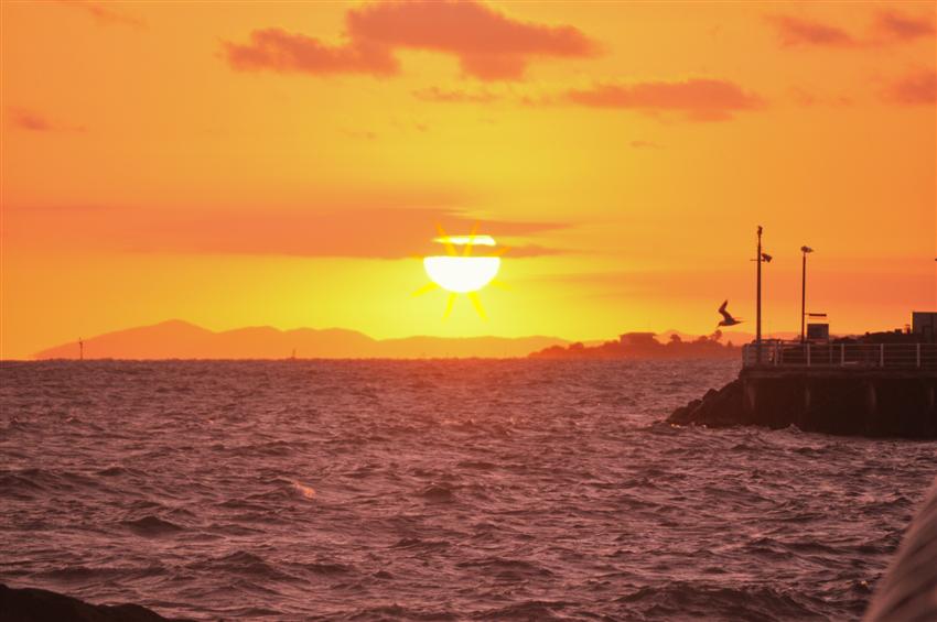 CSC_3969 (Custom).jpg