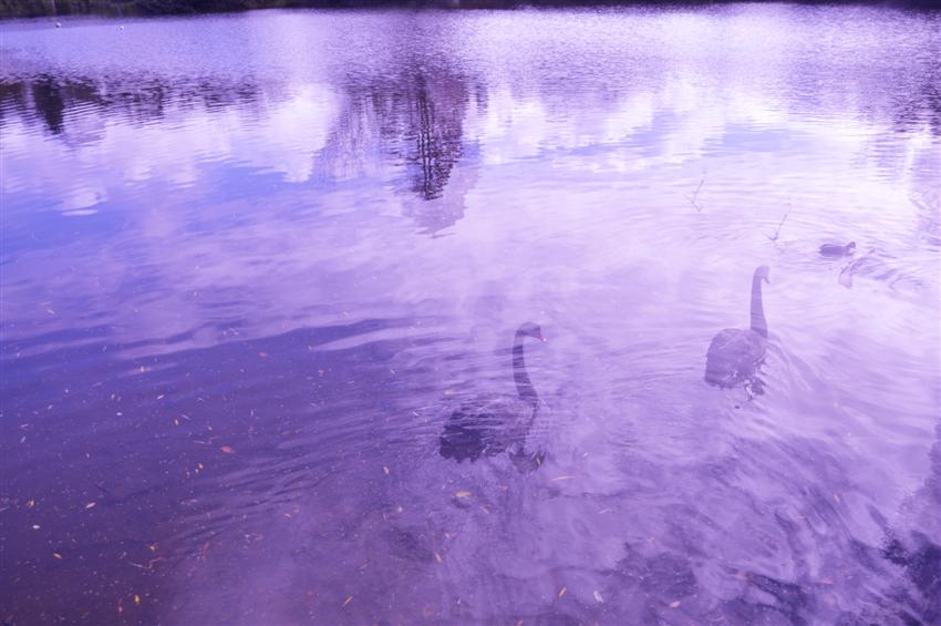 CSC_7089 (Custom) (2).jpg