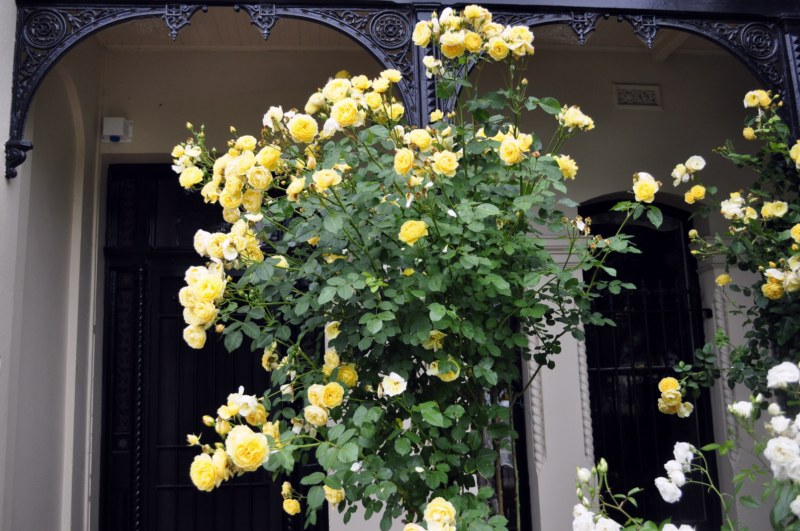 _CSC1423 [800x600].jpg