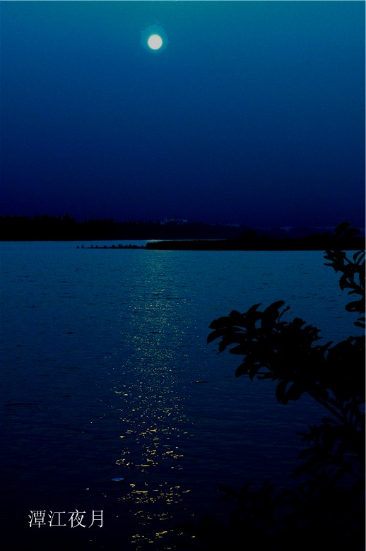 DSC_0281ҹɫ_.jpg