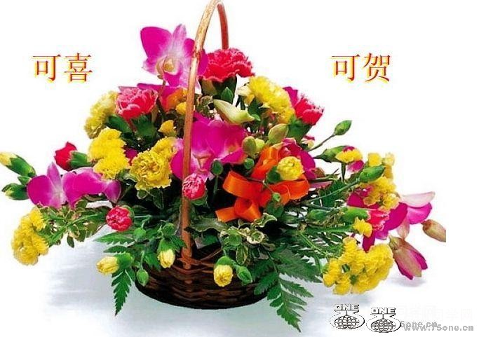 48_6638_fa0ed5fb8019b41.jpg