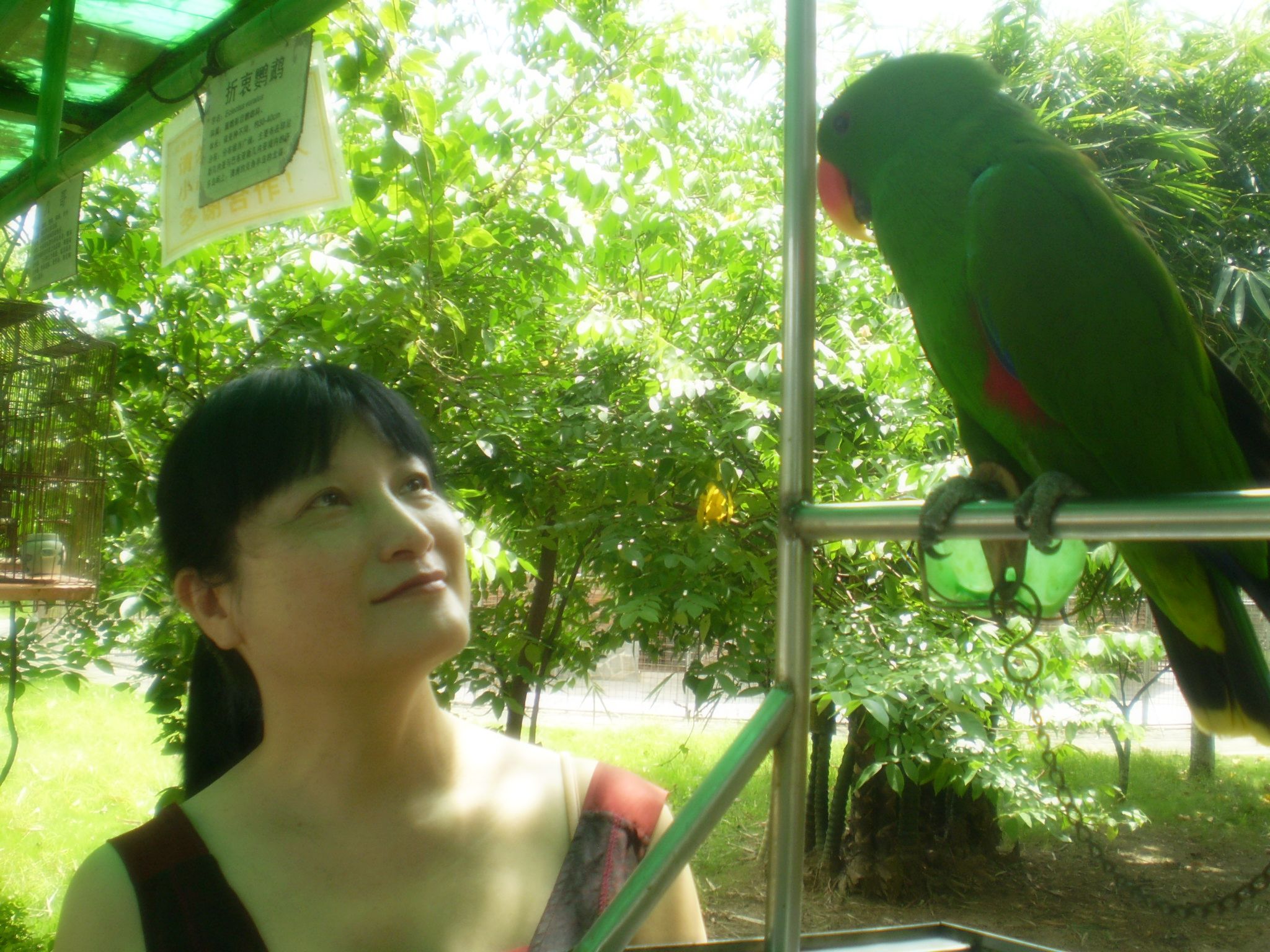 2008-8-26 084.jpg