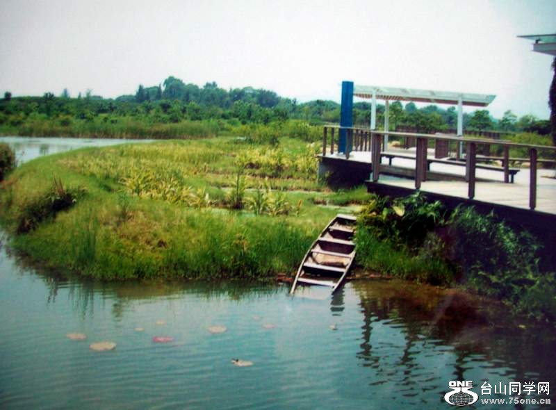 2010 862.jpg