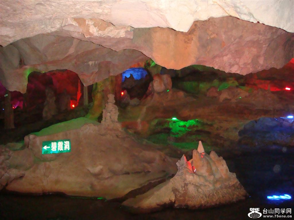 DSC05433 (Large).JPG