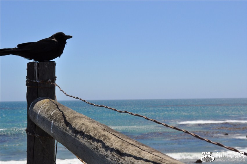 ÿҵ洢ǧƬ,˵:δƬ(&#41;ӳڴ O(_&am