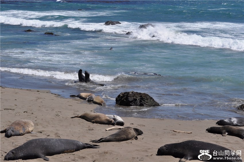 վɳ̲ԶԶĹ۲ЩɰĶǡ