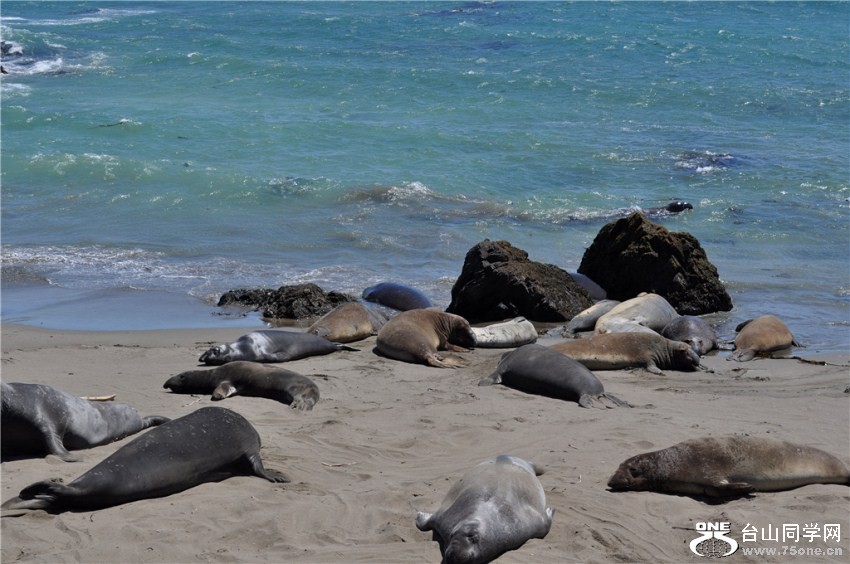 Ҳֵ̯ɳ̲ɹ̫, ڽߵǲǶǡ