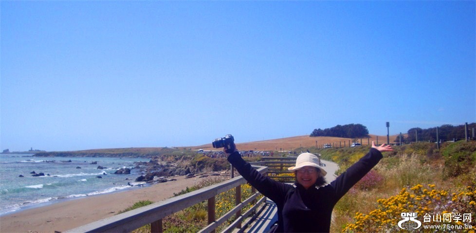 Ƭ ڹڱй·ȥͿΡ˵Ȼ