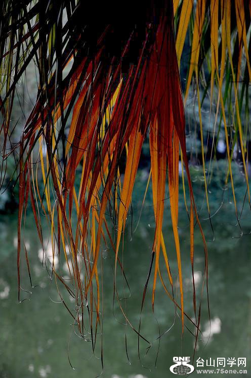 DSC_2198.jpg