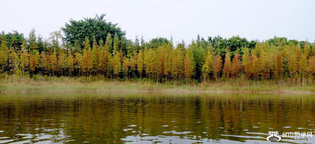 DSC_3601.jpg