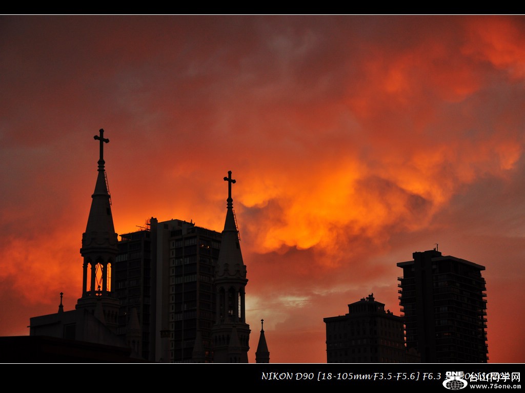 DSC_1513.jpg