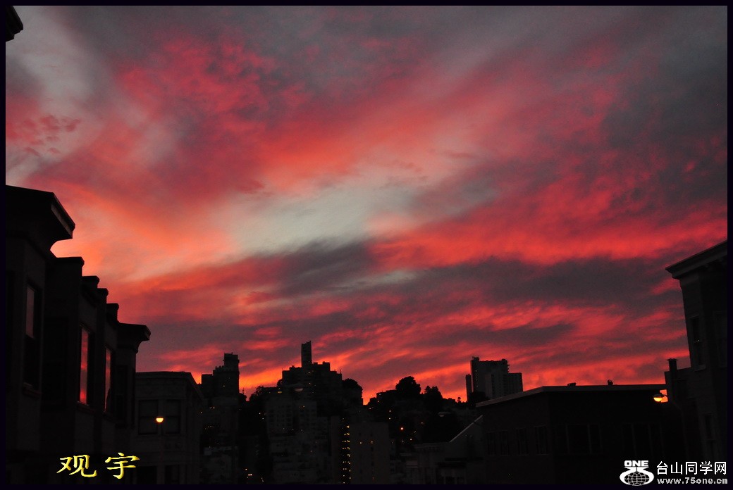 DSC_1462.jpg