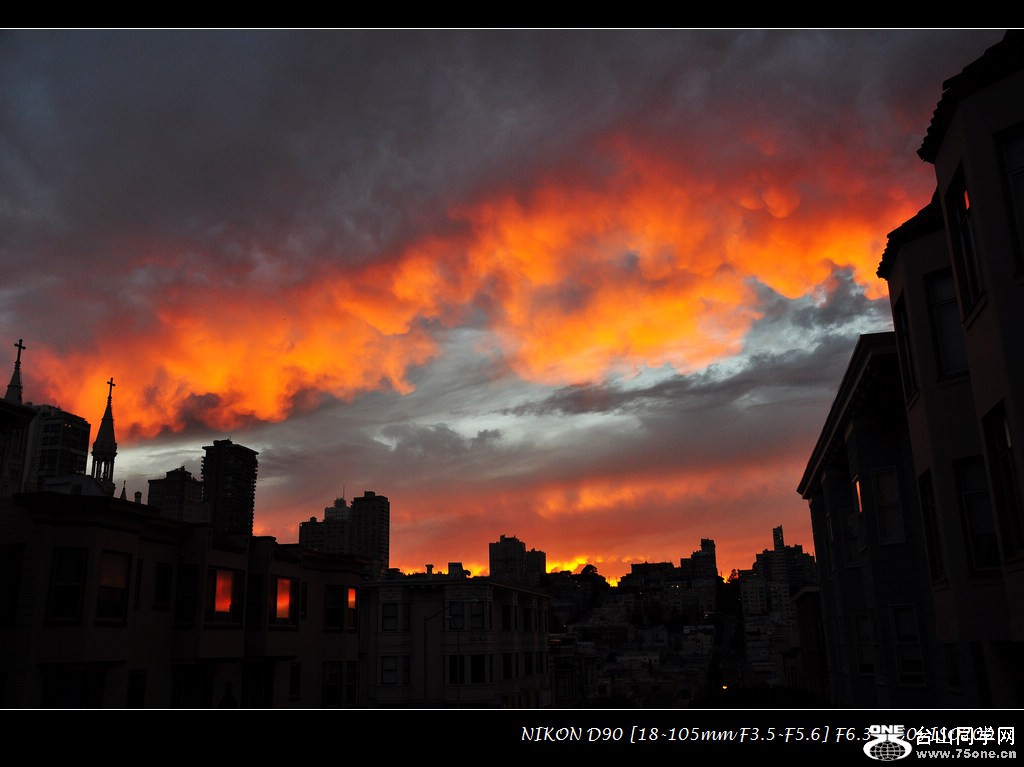 DSC_1538.jpg