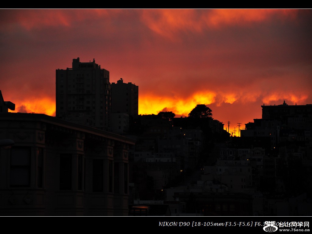 DSC_1545.jpg