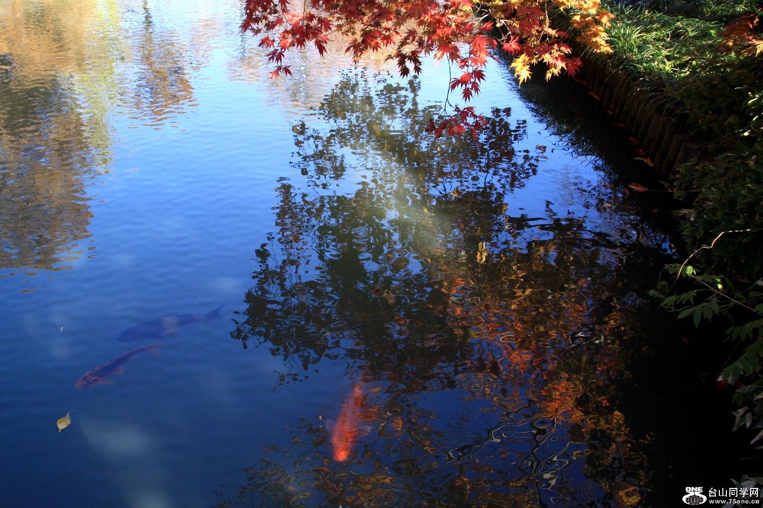 �}�u -IMG_5599.jpg