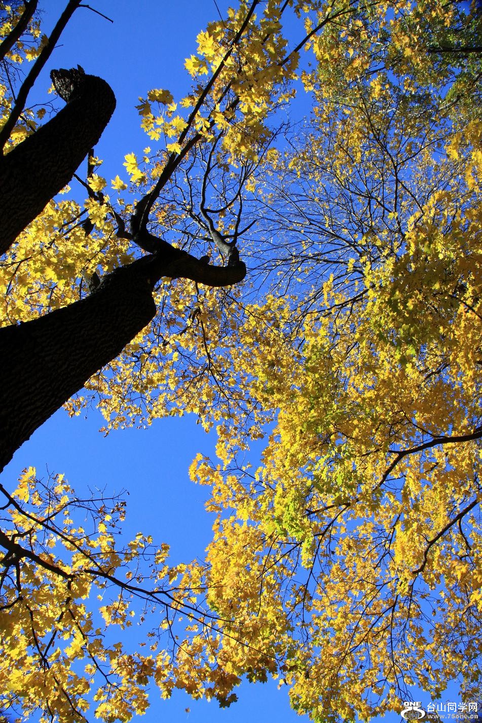 �}�u -IMG_5757 (33).jpg