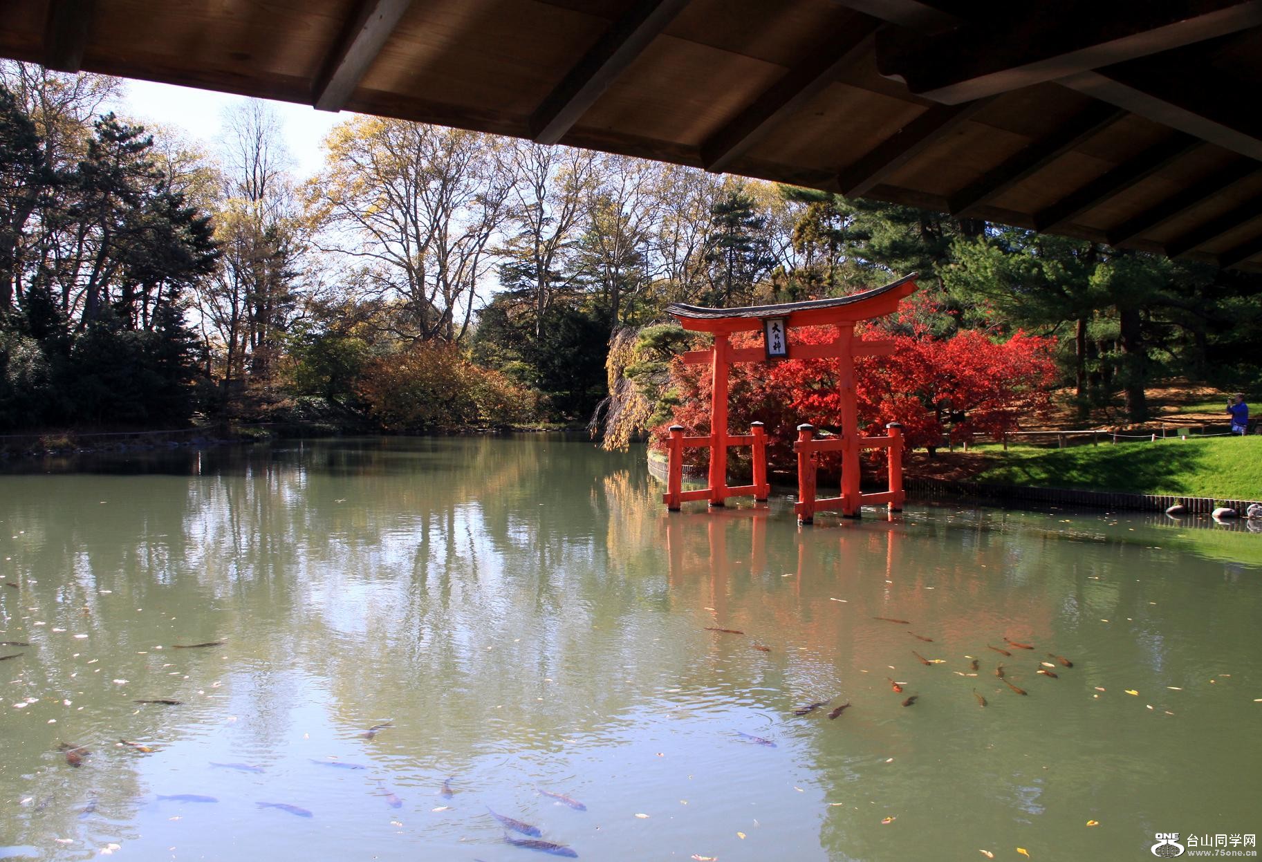 �}�u (2) -IMG_5726.jpg