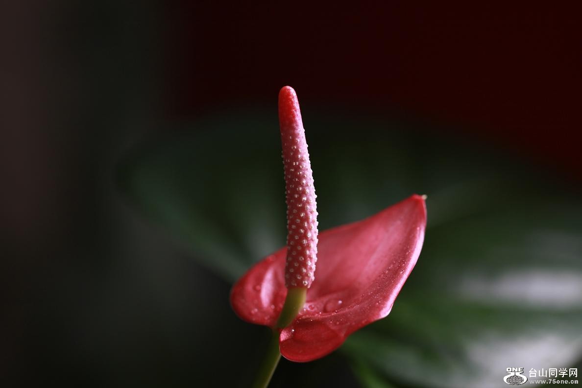 �}�u -�}�u -�}�u -IMG_6269.jpg