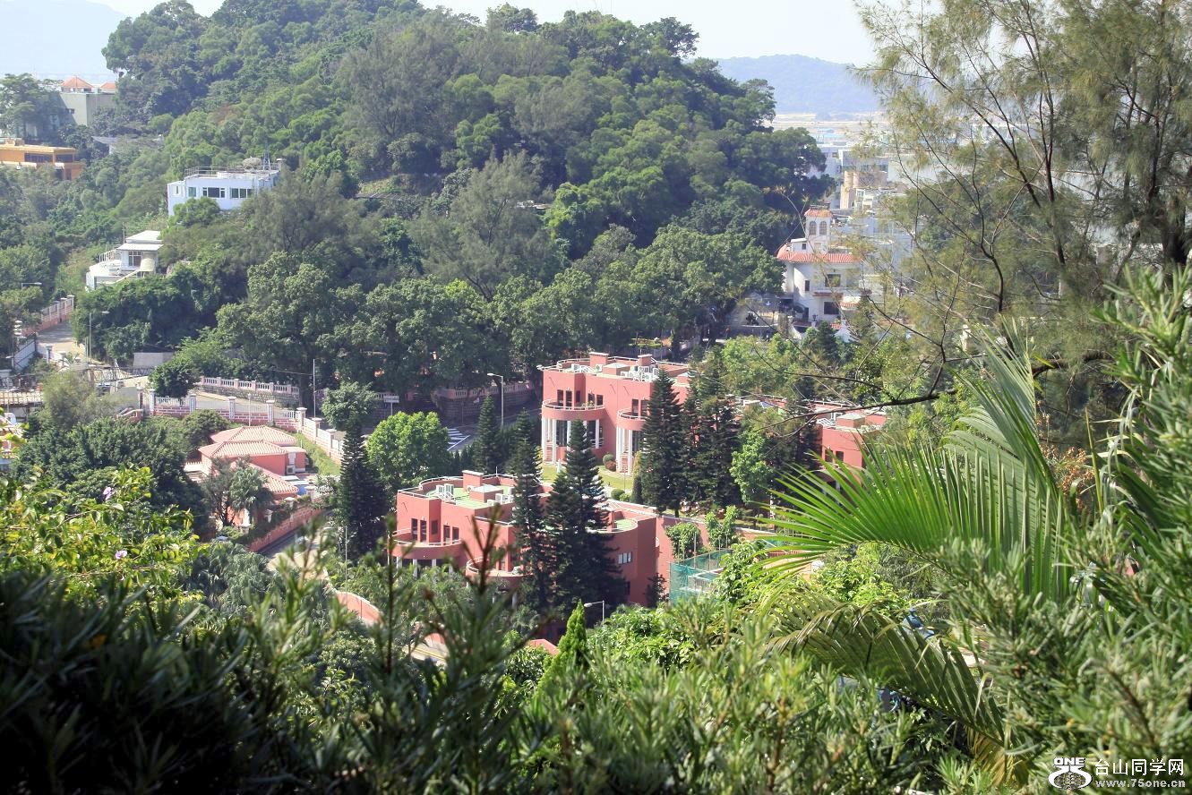 �}�u -IMG_4419.jpg