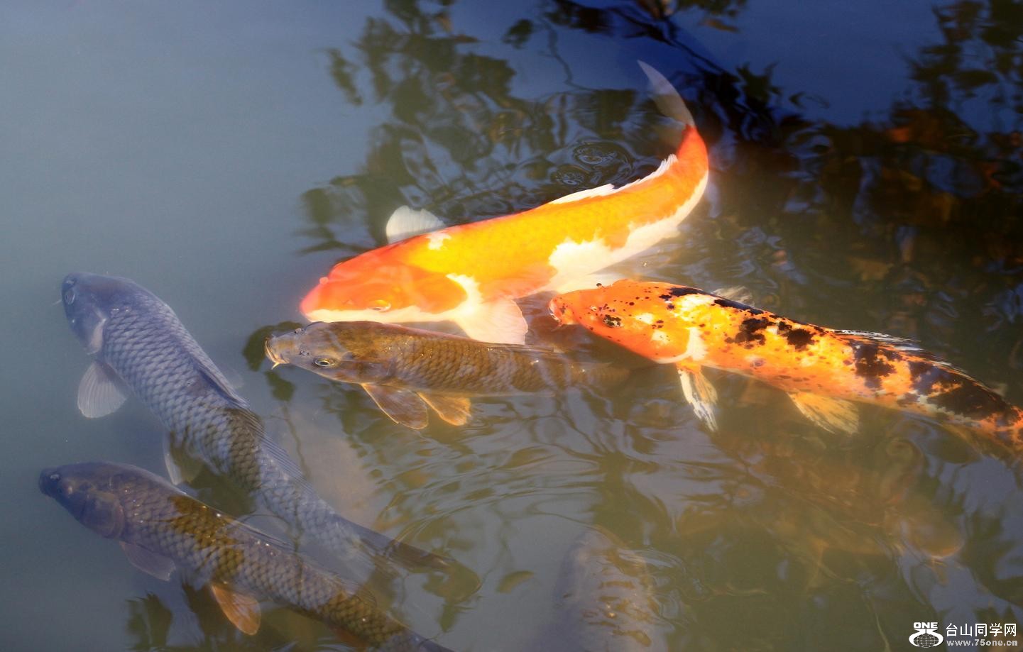 �}�u (2) -IMG_5542.jpg