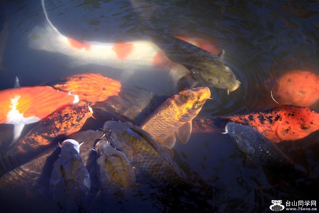 �}�u -IMG_5655.jpg