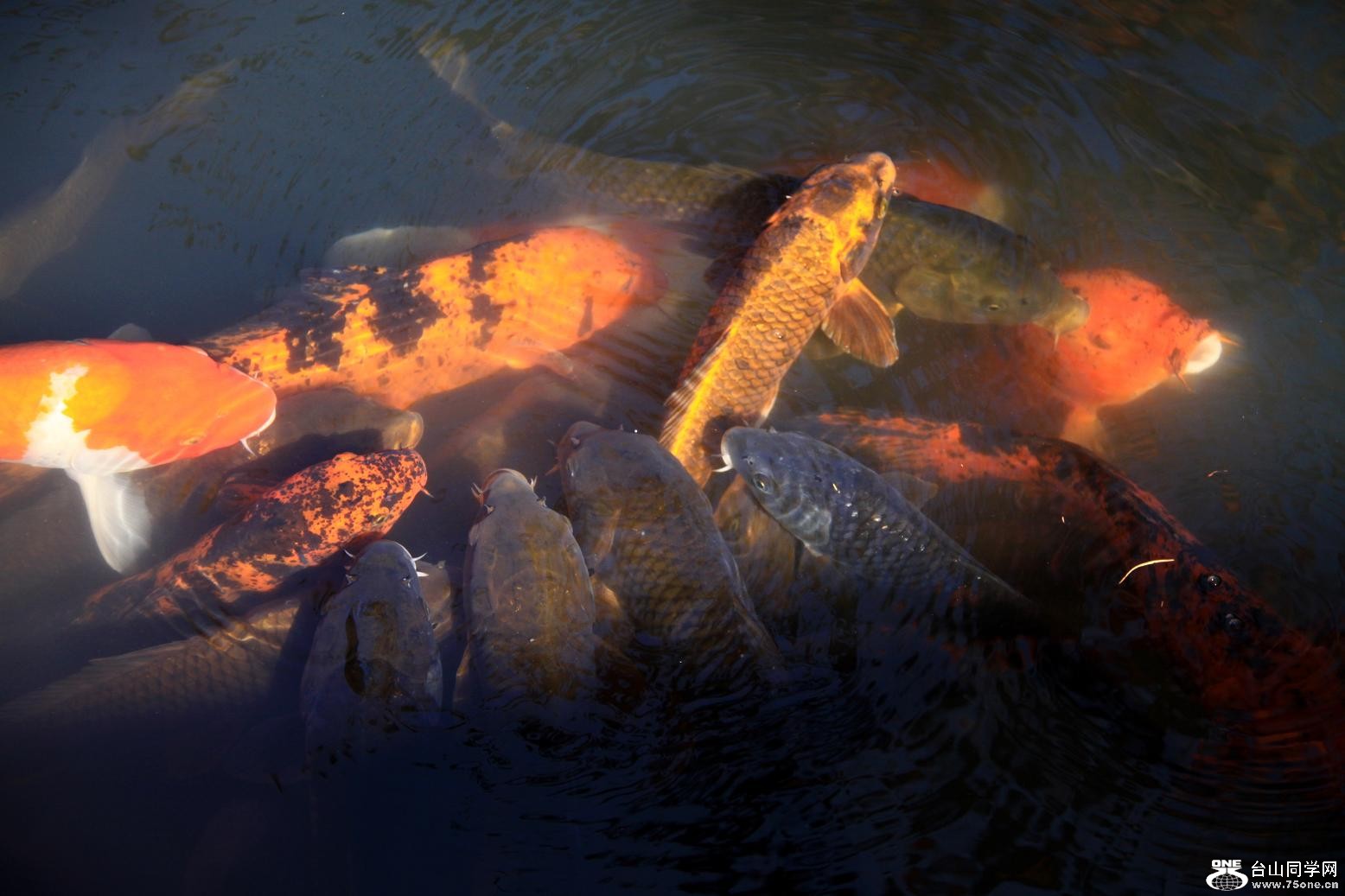 �}�u -IMG_5656.jpg