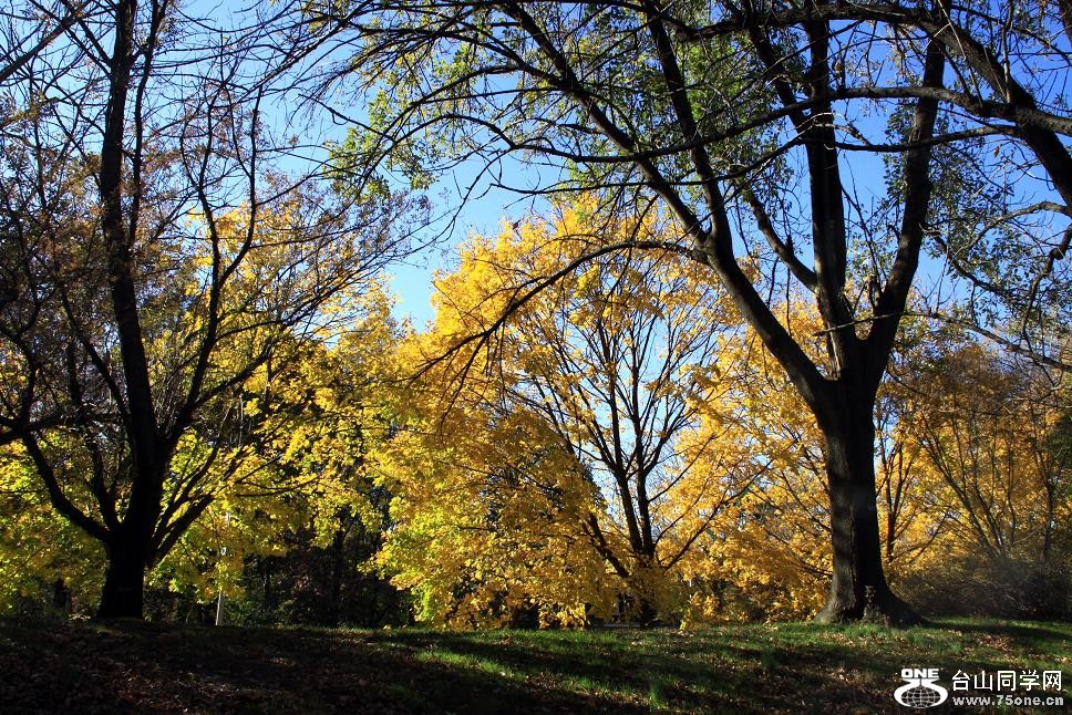 �}�u (2) -IMG_5788.jpg