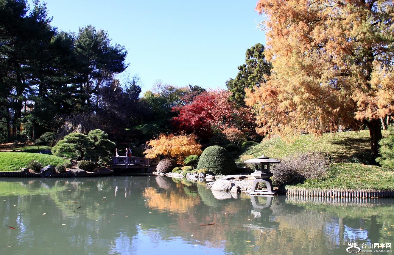 �}�u -IMG_5638.jpg