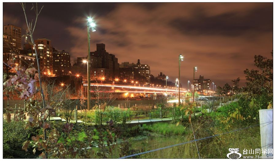 ҹ������