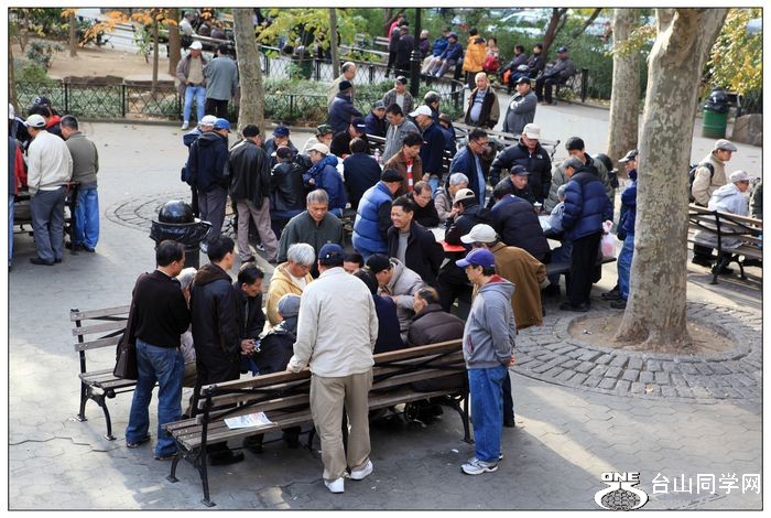 �������ײ���԰