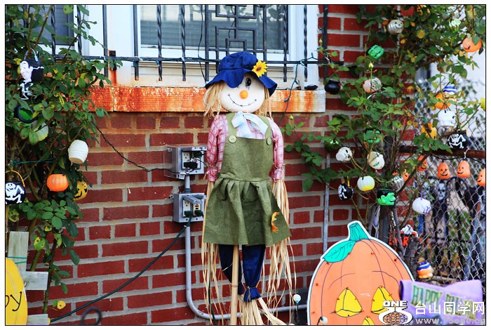 Halloween���}��