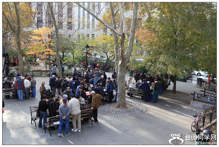 �������ײ���԰