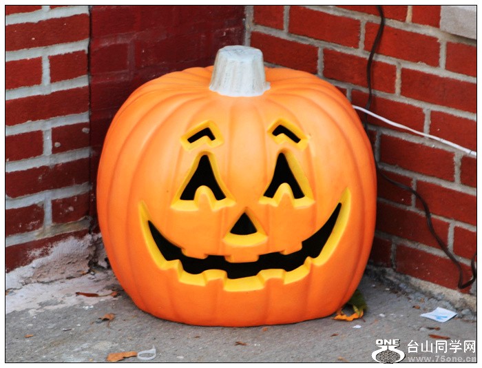 Halloween���}��