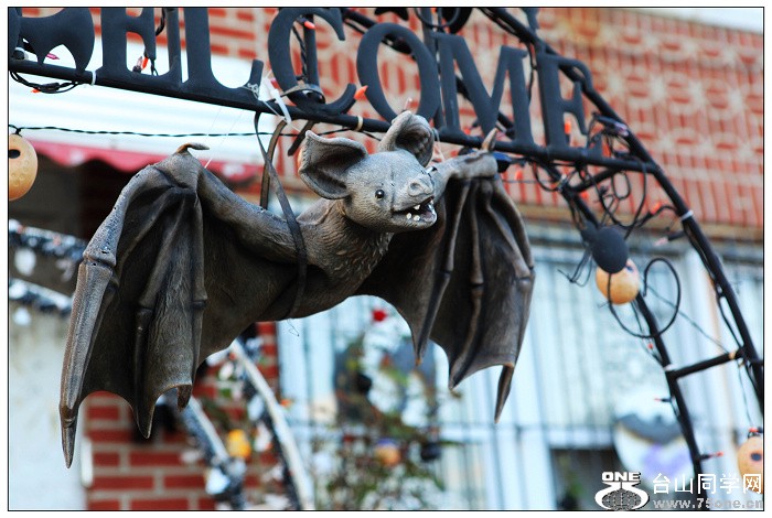 Halloween���}��