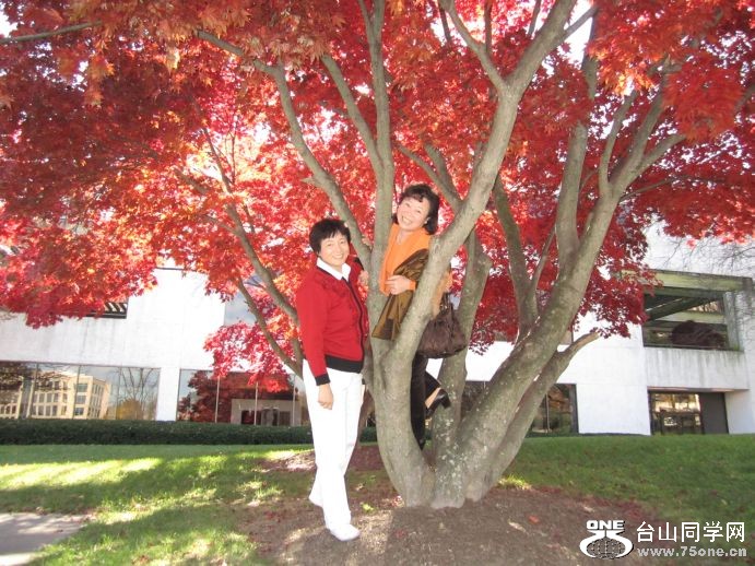 OK----11-14-2010 041.jpg