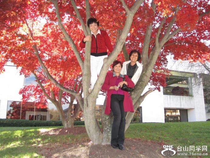 OK----11-14-2010 044.jpg