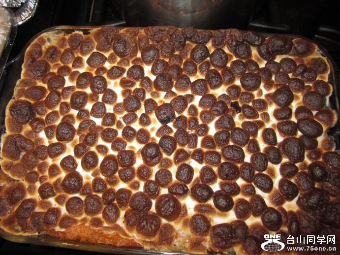 2010 thanksgiving 022.jpg