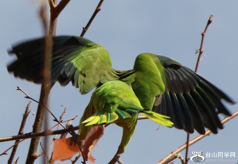 ���˻�"����"��! ȷ!