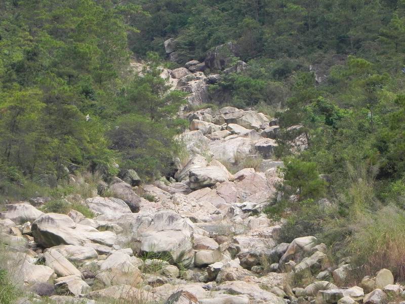 С DSCN8124.JPG
