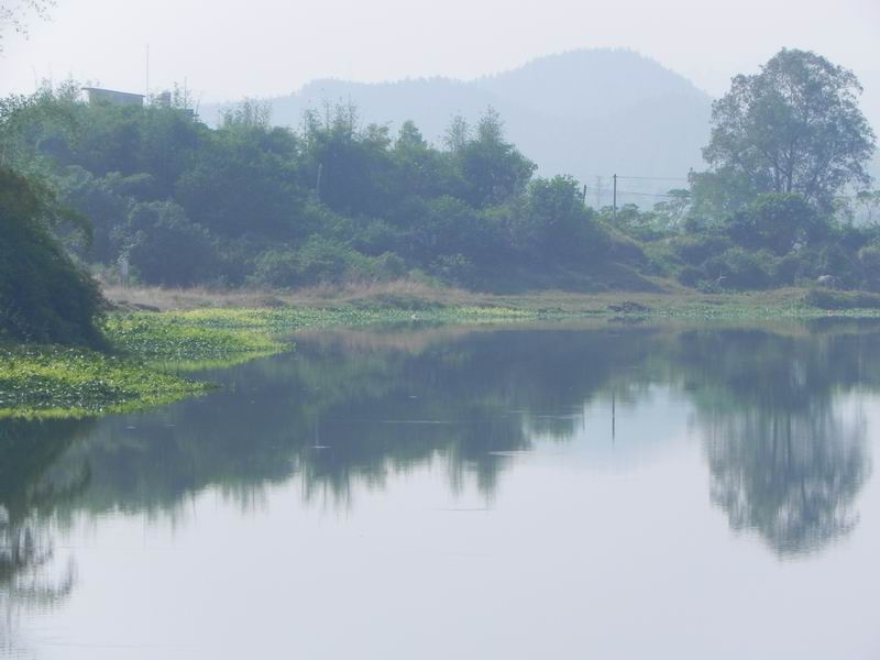 С DSCN8110.JPG
